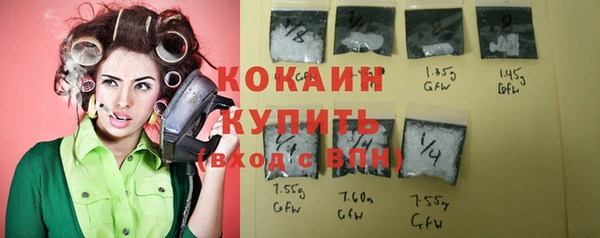 тгк Алзамай