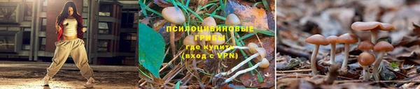 тгк Алзамай