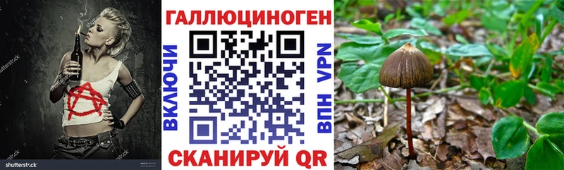 Галлюциногенные грибы Psilocybine cubensis  мориарти Telegram  Теберда  где найти наркотики 